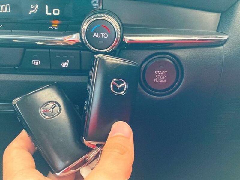 CX-30