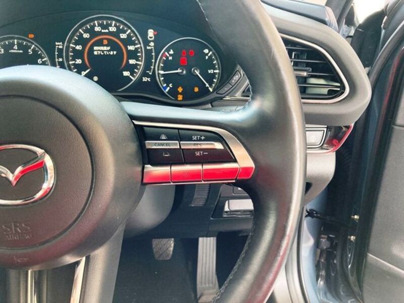 CX-30