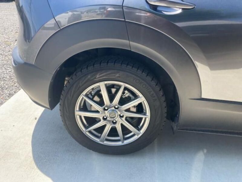 CX-30