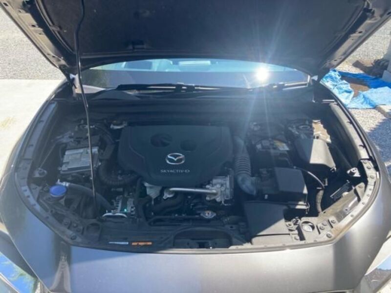 CX-30