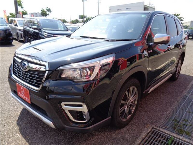 FORESTER
