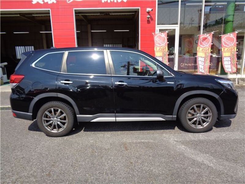 FORESTER