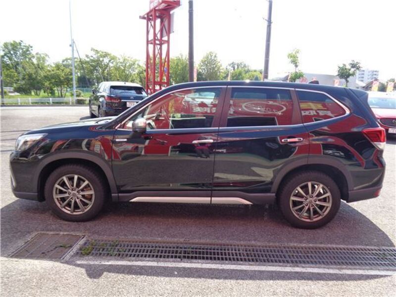 FORESTER