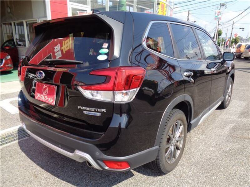 FORESTER