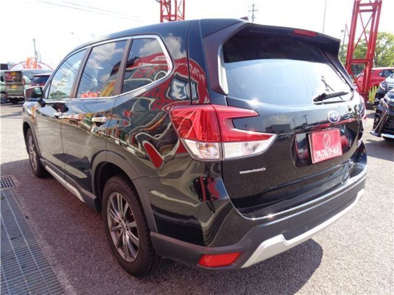 FORESTER
