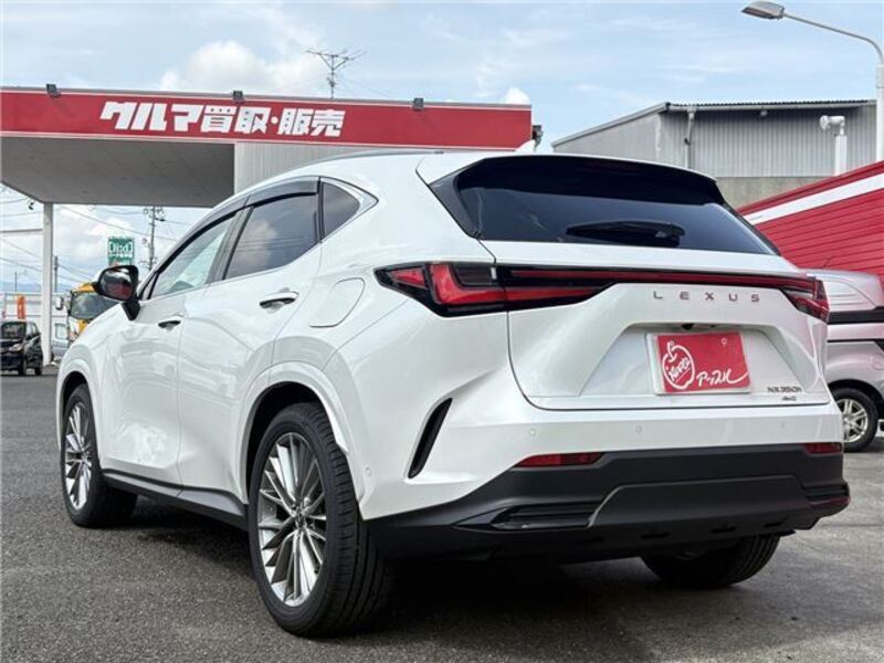 NX
