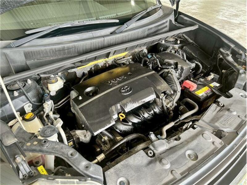 COROLLA RUMION
