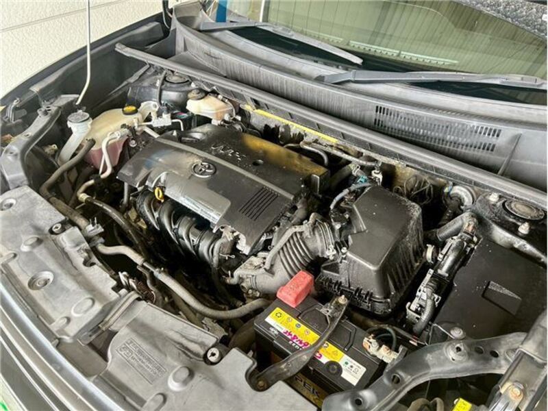 COROLLA RUMION