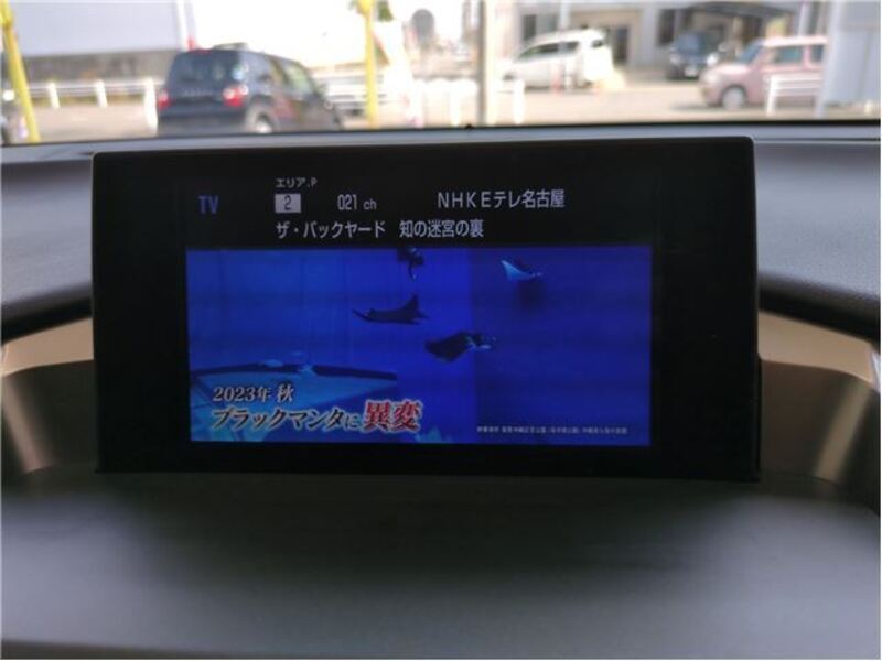 NX