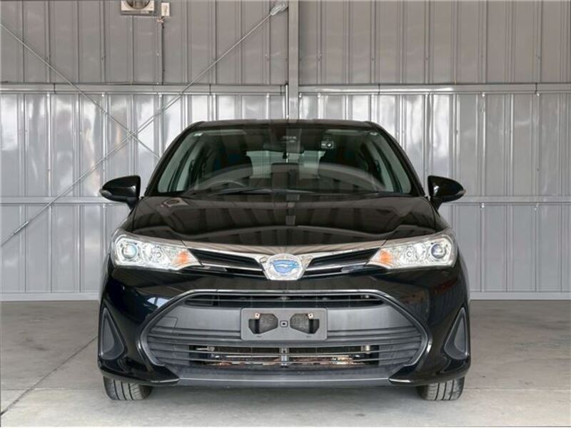 COROLLA FIELDER
