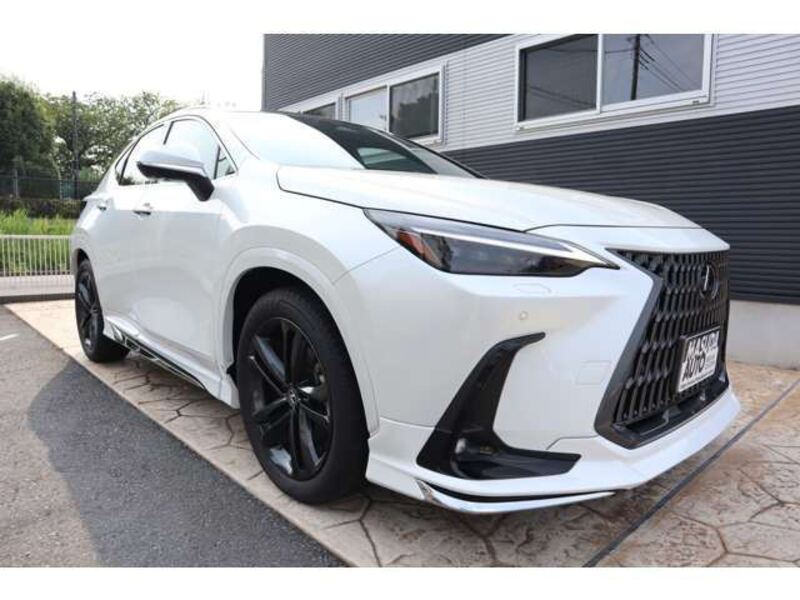 NX