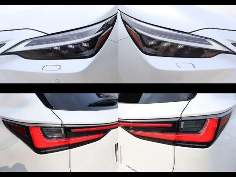 NX