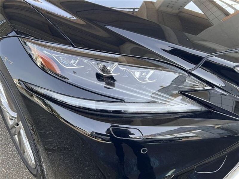 LS