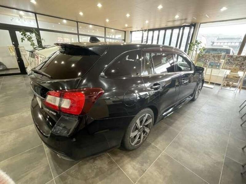 LEVORG