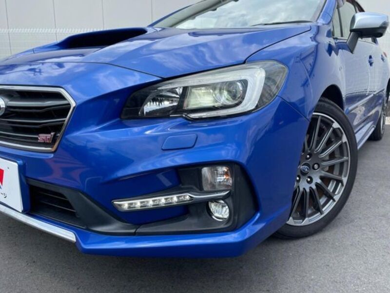 LEVORG