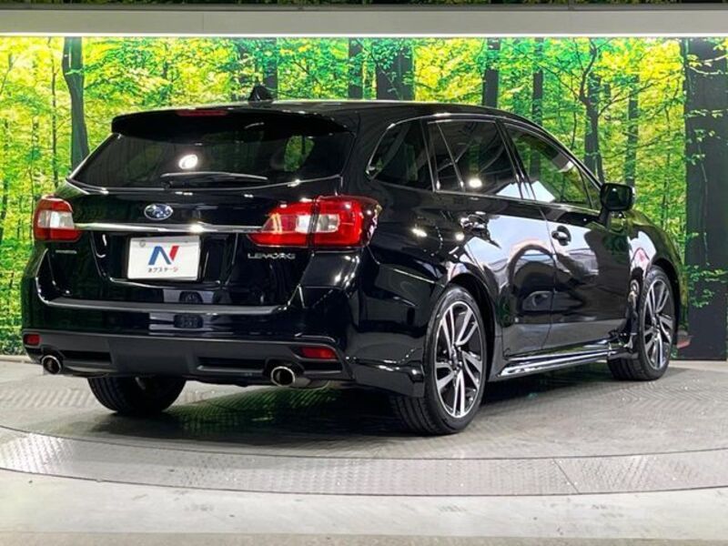 LEVORG