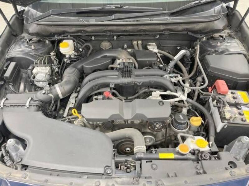 LEGACY OUTBACK