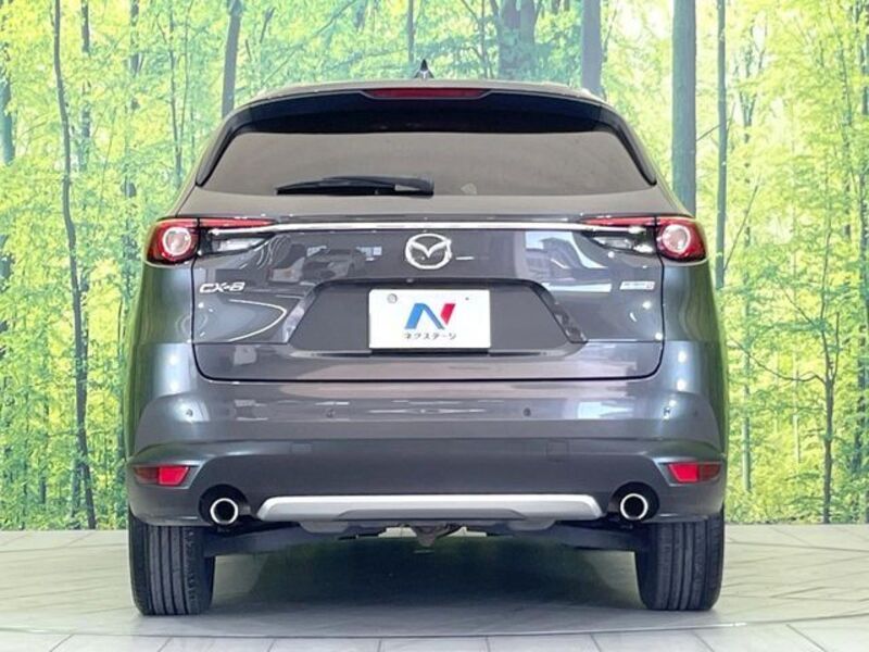 CX-8