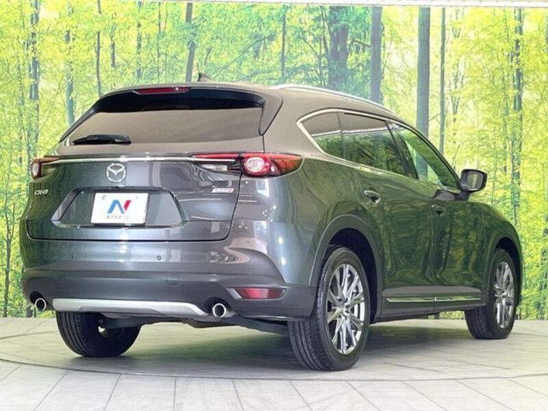 CX-8