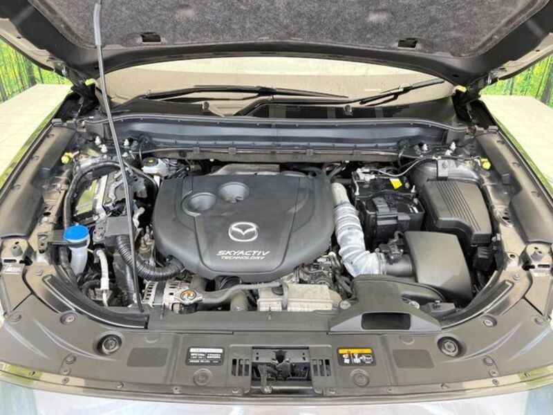CX-8