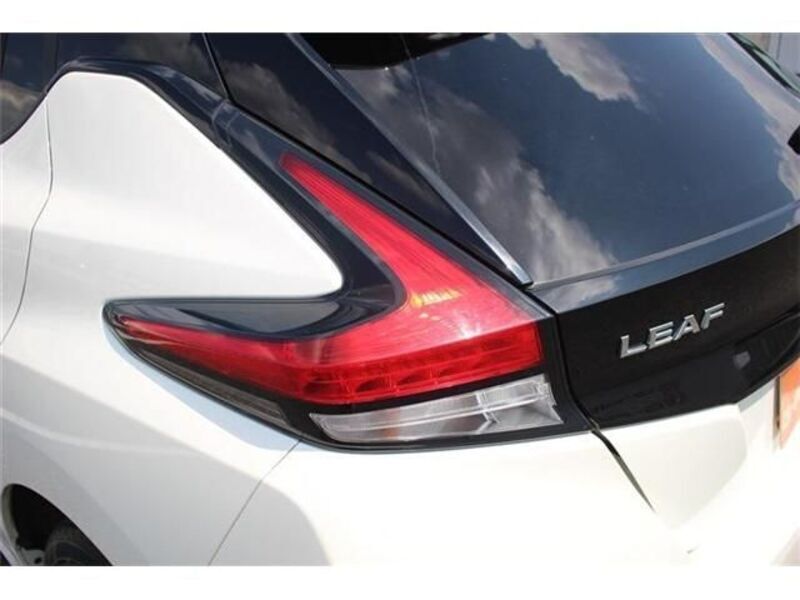 LEAF