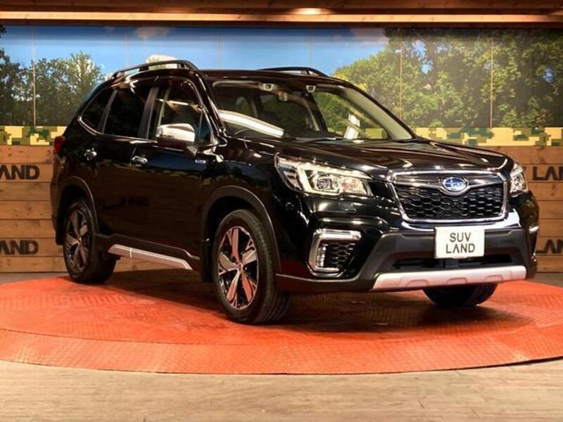 FORESTER