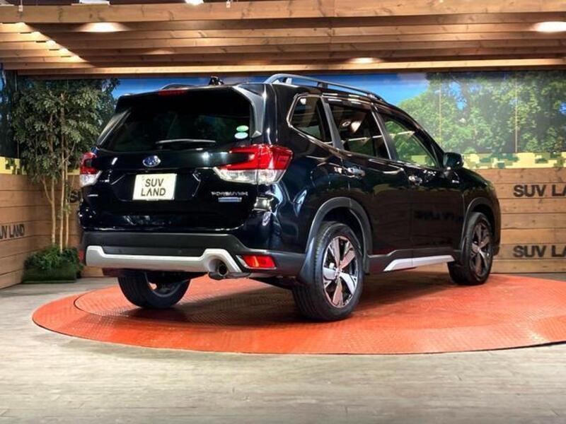 FORESTER