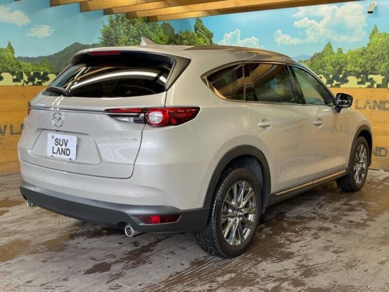 CX-8