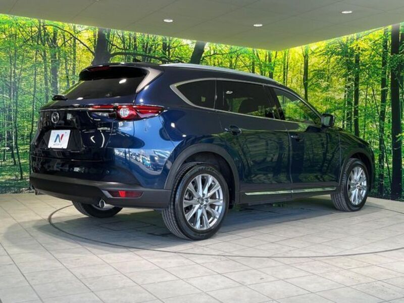 CX-8