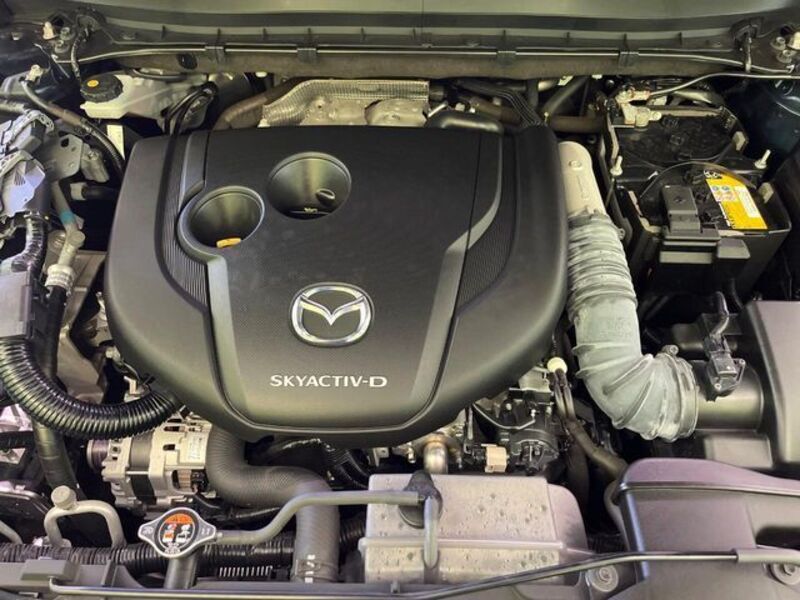 CX-8
