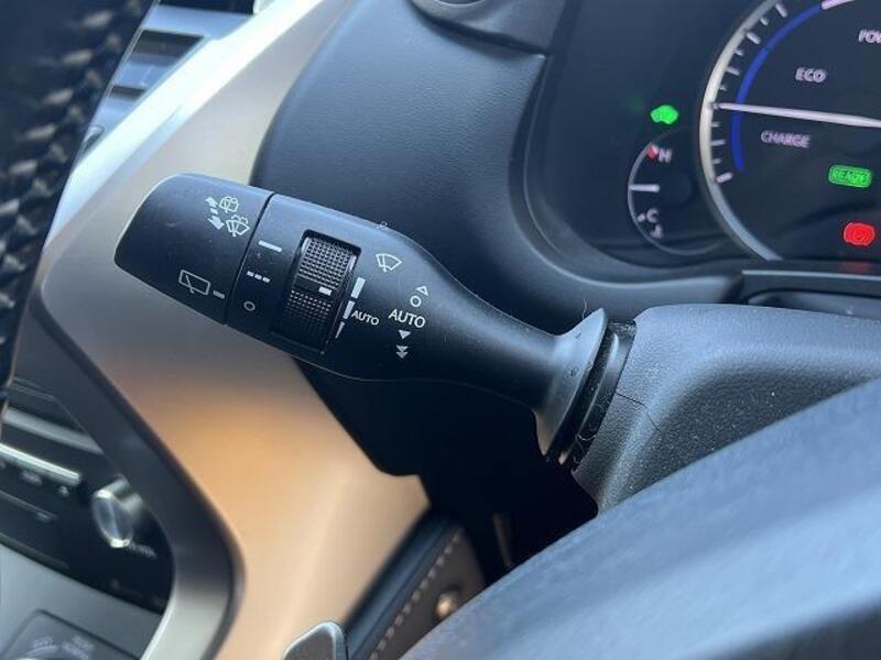 NX
