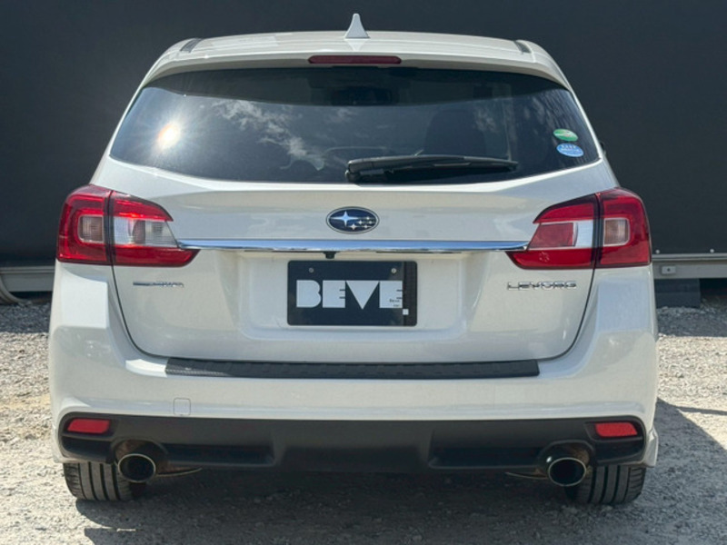 LEVORG
