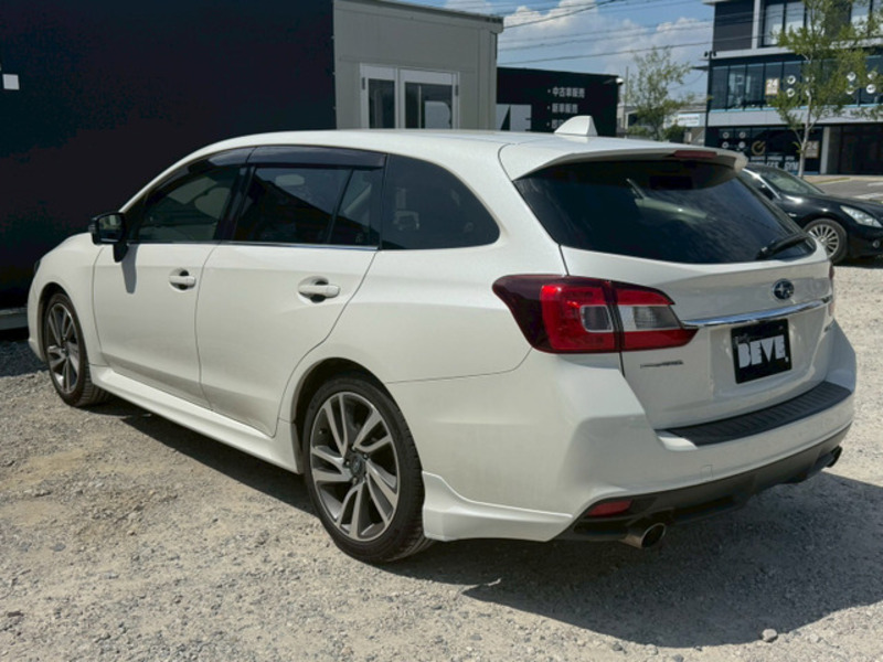 LEVORG