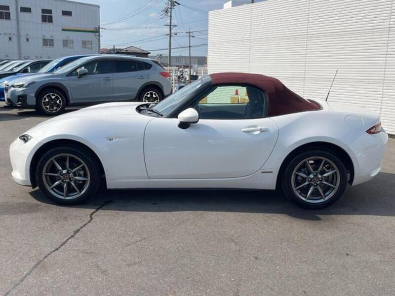 ROADSTER