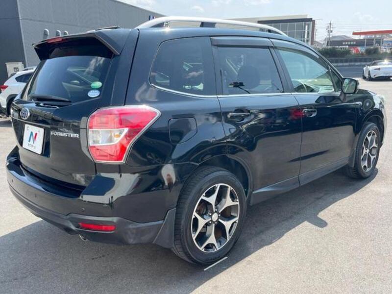 FORESTER