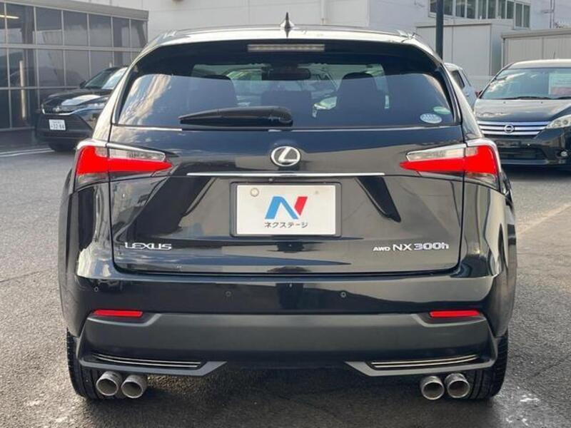 NX