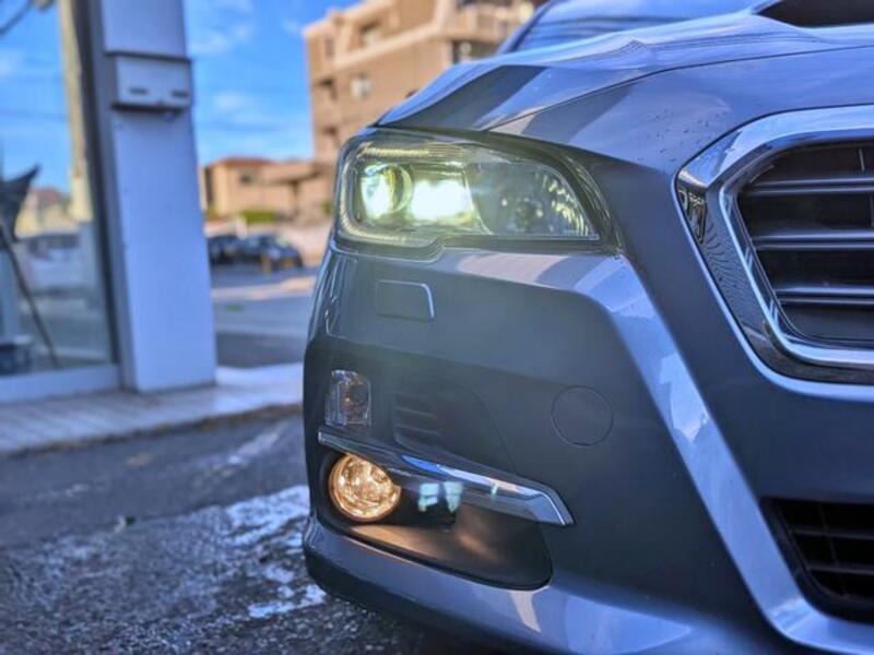 LEVORG