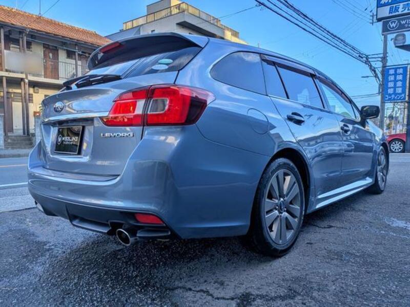 LEVORG