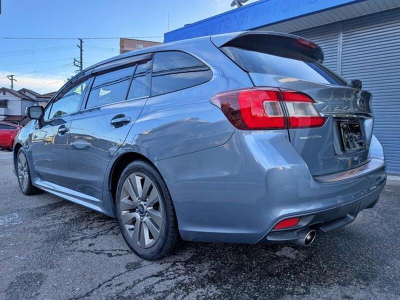 LEVORG