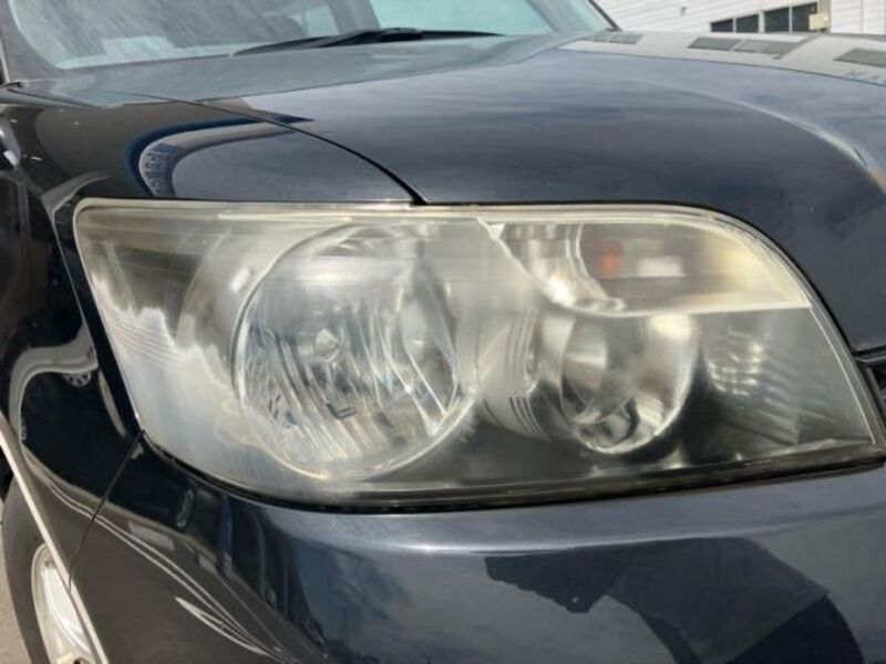 COROLLA RUMION