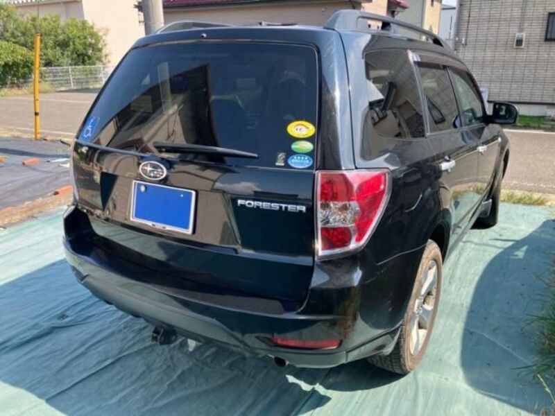 FORESTER