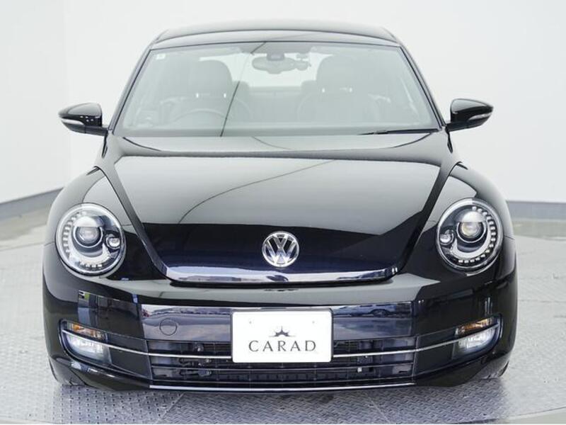 THE BEETLE