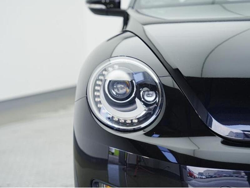 THE BEETLE