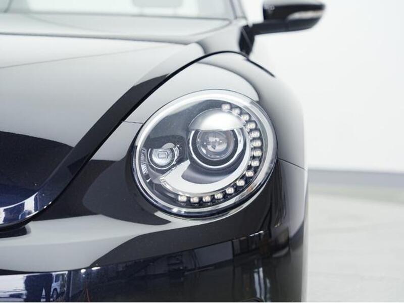 THE BEETLE