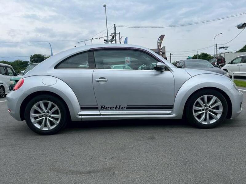 THE BEETLE