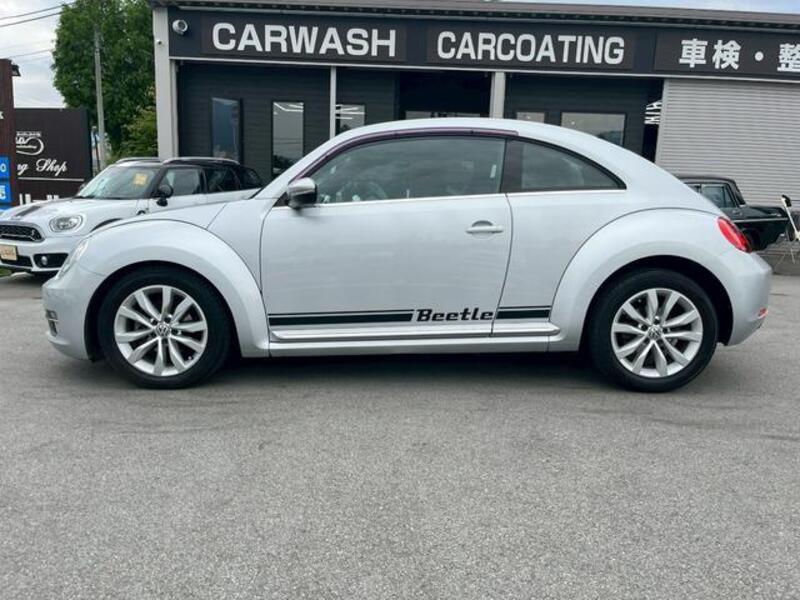 THE BEETLE