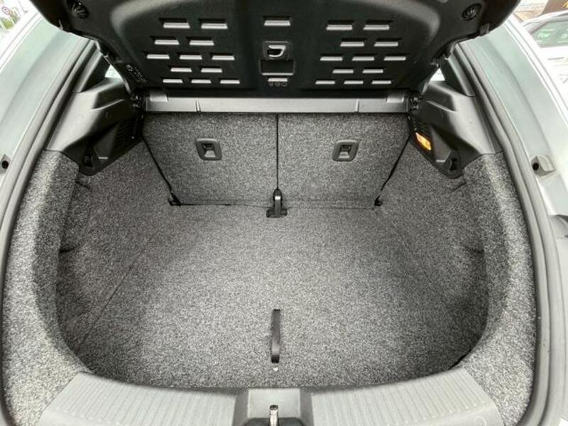 THE BEETLE