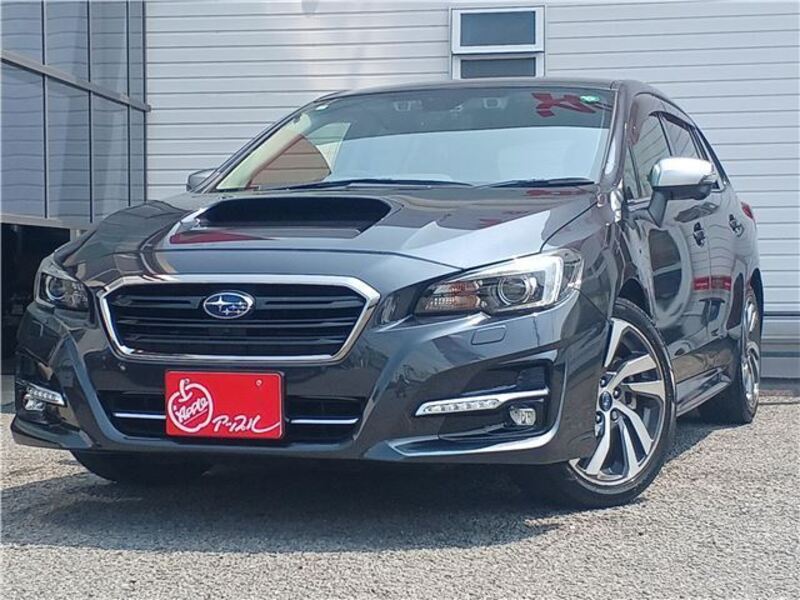 LEVORG-0