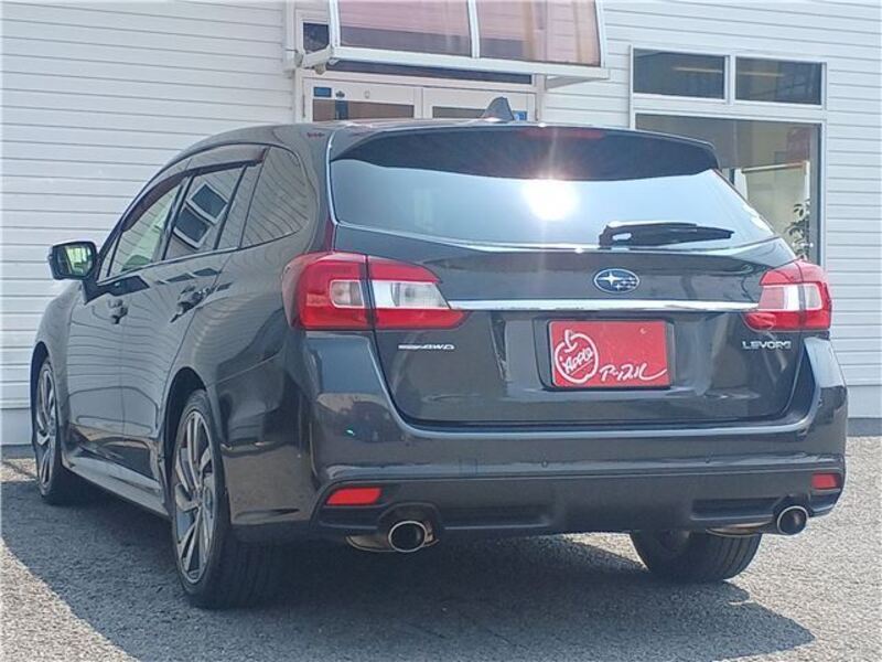 LEVORG