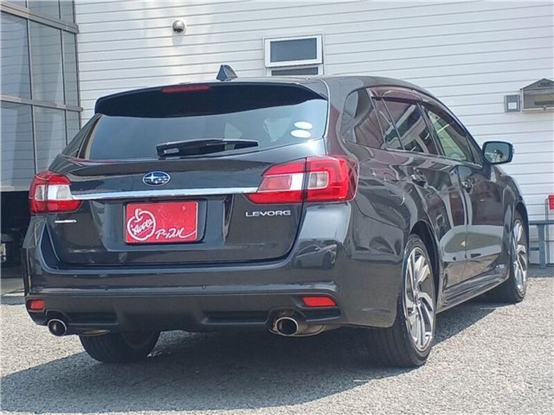 LEVORG